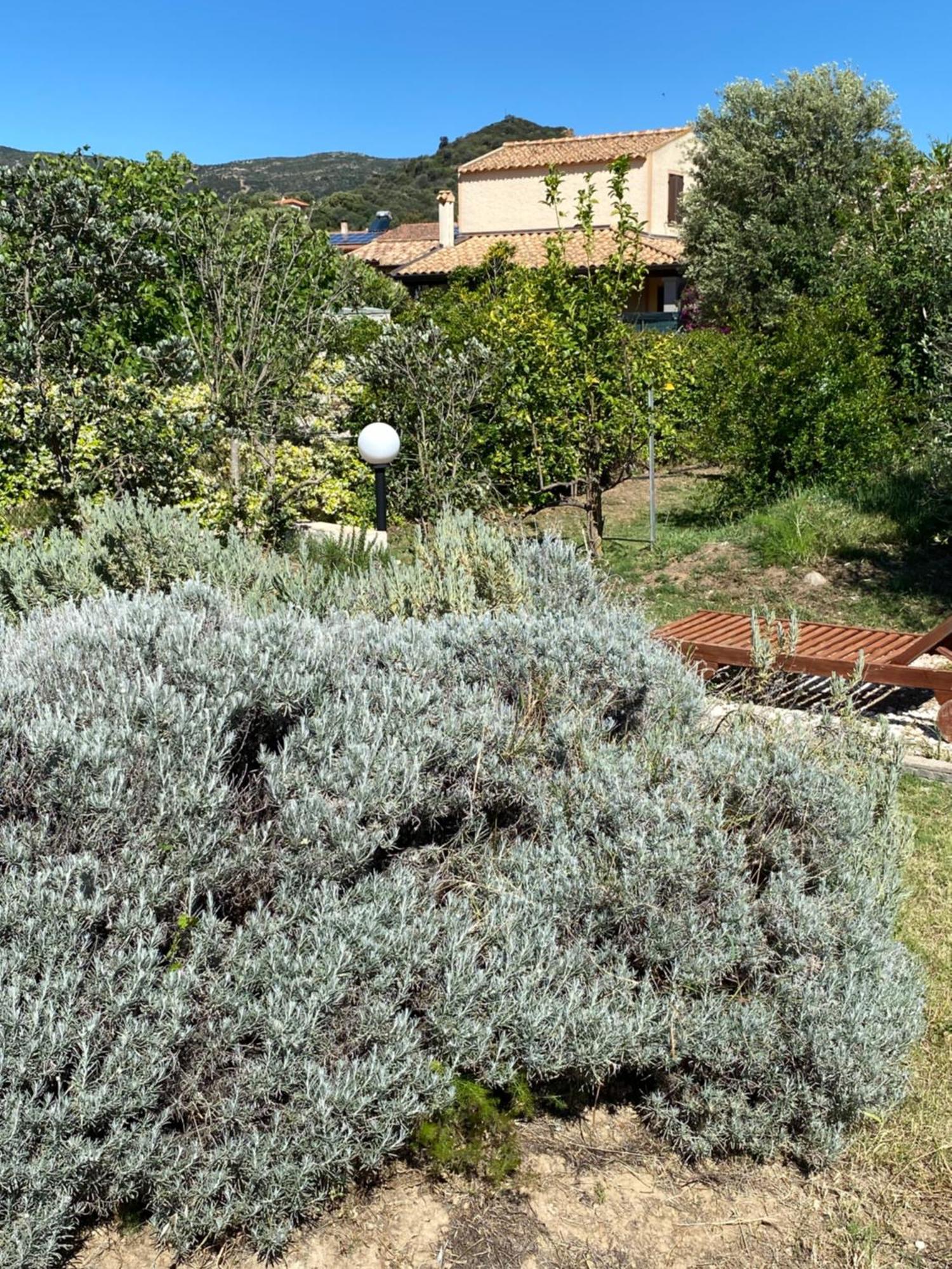 Lecallebed-Breakfast Chia Bagian luar foto